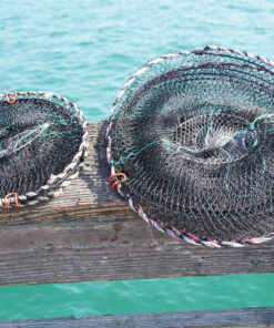 Crab fish trap Bait trap for Lobster Crawfish Shrimp Fishing foldable Traps Nets