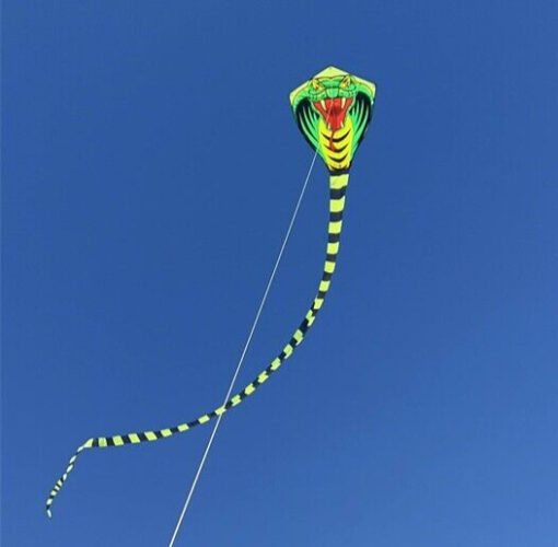 27FT long Cobra Snake Kite with 328ft string easy to fly for Children adult Toys