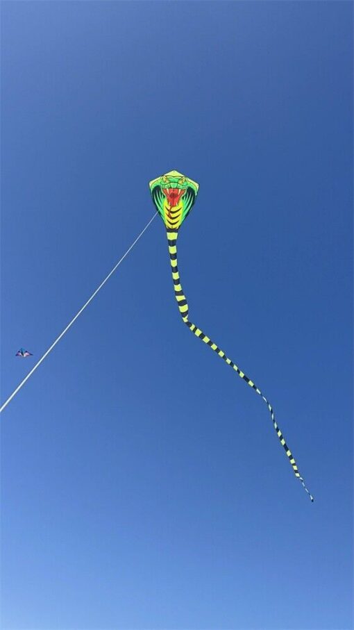 27FT long Cobra Snake Kite with 328ft string easy to fly for Children adult Toys