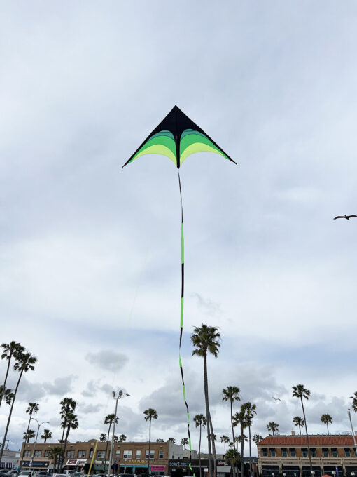 NEW 2m 6.6FT wide Triangle Kite set with 33FT tail & 328ft string delta easy fly