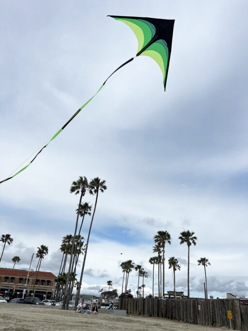 9.2FT wide huge Kite for Kids & Adults with 100FT Tail and 328FT String easy fly