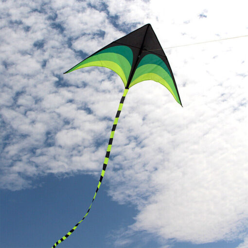 NEW 1.6m 5.5FT wide Triangle Kite set with 20FT tail 328ft string delta easy fly