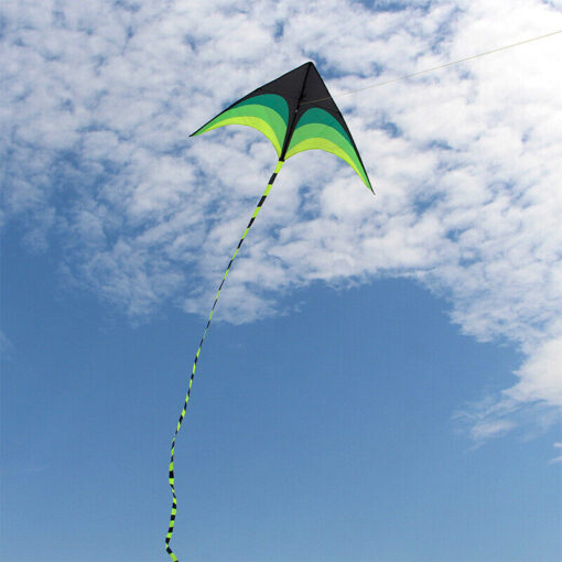 NEW 1.6m 5.5FT wide Triangle Kite set with 20FT tail 328ft string delta easy fly