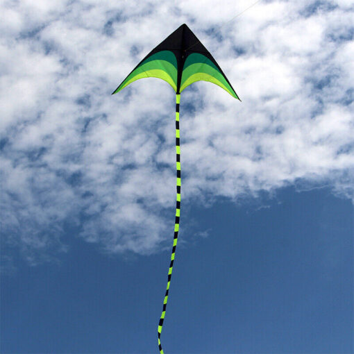 NEW 1.6m 5.5FT wide Triangle Kite set with 20FT tail 328ft string delta easy fly