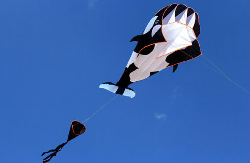 3D software killer whale Kite Single Line For Adult and Kids for Outdoor Sports