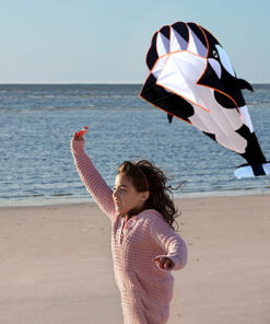 3D software killer whale Kite Single Line For Adult and Kids for Outdoor Sports