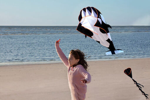 3D software killer whale Kite Single Line For Adult and Kids for Outdoor Sports