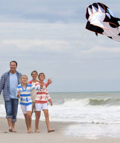 3D software killer whale Kite Single Line For Adult and Kids for Outdoor Sports