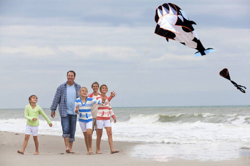 3D software killer whale Kite Single Line For Adult and Kids for Outdoor Sports